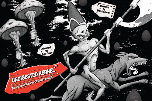 Undigested Kernel: The Vacation Pictures Of Scott Harrison