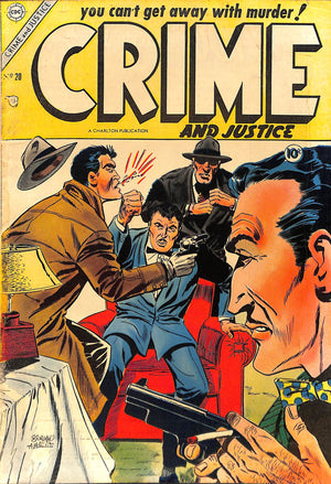 Crime and Justice no. 20